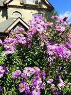 Manderley Bed and Breakfast