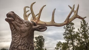 Elktrace Bed & Breakfast
