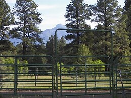 Elktrace Bed & Breakfast