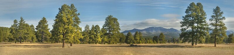 Elktrace Bed & Breakfast