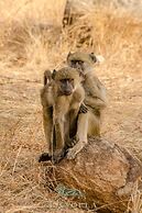 Elandela Private Game Reserve & Luxury Lodge