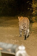 Elandela Private Game Reserve & Luxury Lodge