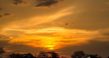 Elandela Private Game Reserve & Luxury Lodge