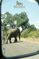 Elandela Private Game Reserve & Luxury Lodge