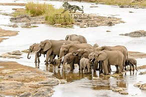 Elandela Private Game Reserve & Luxury Lodge