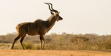 Elandela Private Game Reserve & Luxury Lodge