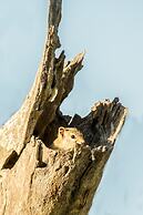 Elandela Private Game Reserve & Luxury Lodge