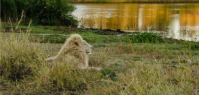 Elandela Private Game Reserve & Luxury Lodge