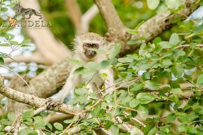 Elandela Private Game Reserve & Luxury Lodge
