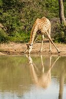 Elandela Private Game Reserve & Luxury Lodge