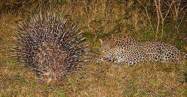 Elandela Private Game Reserve & Luxury Lodge