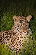 Elandela Private Game Reserve & Luxury Lodge