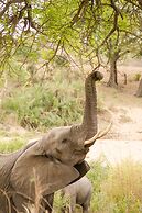 Elandela Private Game Reserve & Luxury Lodge