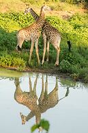 Elandela Private Game Reserve & Luxury Lodge