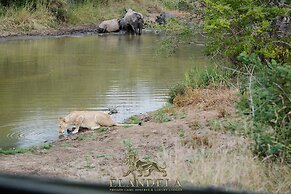 Elandela Private Game Reserve & Luxury Lodge