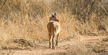 Elandela Private Game Reserve & Luxury Lodge