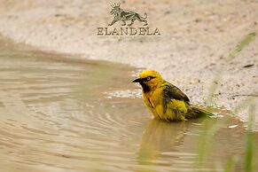Elandela Private Game Reserve & Luxury Lodge