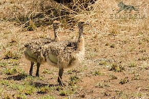 Elandela Private Game Reserve & Luxury Lodge