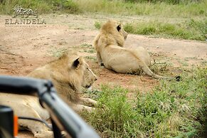 Elandela Private Game Reserve & Luxury Lodge