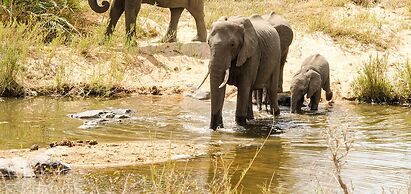 Elandela Private Game Reserve & Luxury Lodge