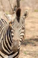 Elandela Private Game Reserve & Luxury Lodge