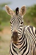Elandela Private Game Reserve & Luxury Lodge