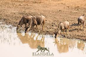 Elandela Private Game Reserve & Luxury Lodge