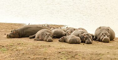 Elandela Private Game Reserve & Luxury Lodge