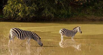Elandela Private Game Reserve & Luxury Lodge