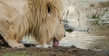 Elandela Private Game Reserve & Luxury Lodge