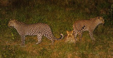 Elandela Private Game Reserve & Luxury Lodge