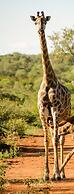 Elandela Private Game Reserve & Luxury Lodge