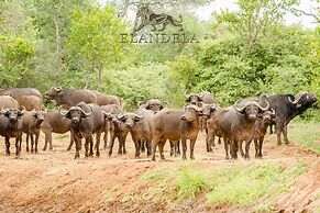 Elandela Private Game Reserve & Luxury Lodge