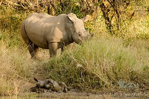 Elandela Private Game Reserve & Luxury Lodge