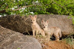 Elandela Private Game Reserve & Luxury Lodge