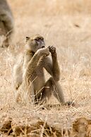 Elandela Private Game Reserve & Luxury Lodge