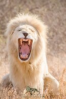 Elandela Private Game Reserve & Luxury Lodge