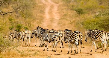 Elandela Private Game Reserve & Luxury Lodge