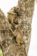 Elandela Private Game Reserve & Luxury Lodge