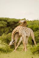 Elandela Private Game Reserve & Luxury Lodge