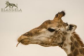 Elandela Private Game Reserve & Luxury Lodge