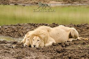 Elandela Private Game Reserve & Luxury Lodge