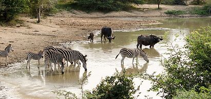 Elandela Private Game Reserve & Luxury Lodge
