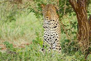 Elandela Private Game Reserve & Luxury Lodge
