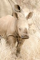 Elandela Private Game Reserve & Luxury Lodge