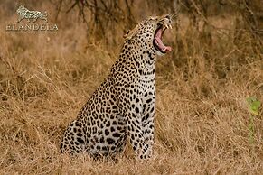 Elandela Private Game Reserve & Luxury Lodge