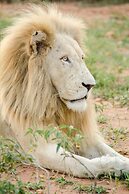 Elandela Private Game Reserve & Luxury Lodge