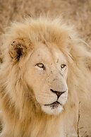 Elandela Private Game Reserve & Luxury Lodge