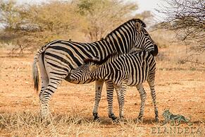 Elandela Private Game Reserve & Luxury Lodge