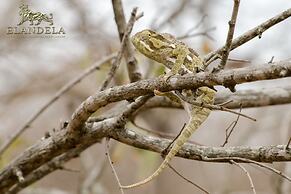 Elandela Private Game Reserve & Luxury Lodge